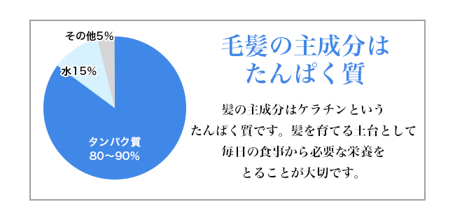 毛髪の主成分はたんぱく質 タンパク質80〜90%