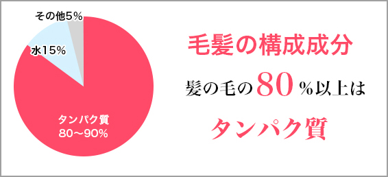 毛髪の構成成分は80％がたんぱく質