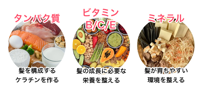 発毛に必要な栄養素